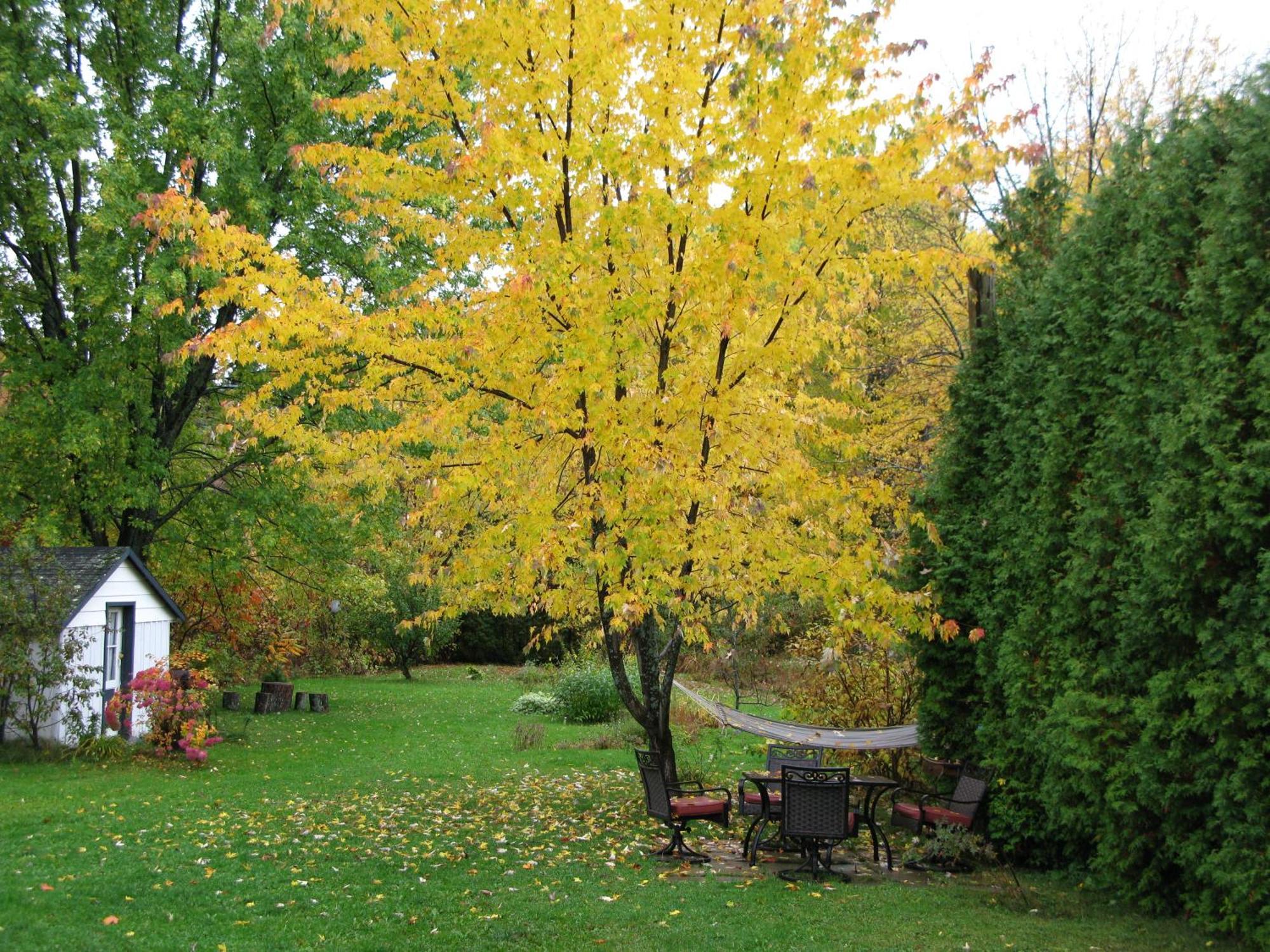 Gite Aux Traditions Saint-Jean-des Piles Exterior foto